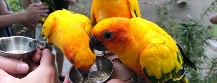 Tracy Aviary is one of Tempat yang Disukai Ryan.