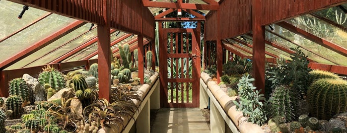 Jardim Botânico do Rio de Janeiro is one of Tempat yang Disukai Ryan.