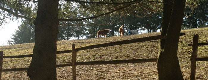 Gateway Stables is one of Nature.