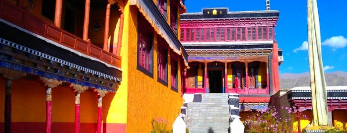 Thiksey Gompa is one of To-see in India.