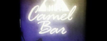 Camel Bar is one of Night clubs of Sharm el Sheikh.