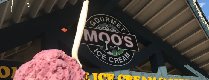 Moo's Gourmet Ice Cream is one of America's Best Ice Cream Shops.