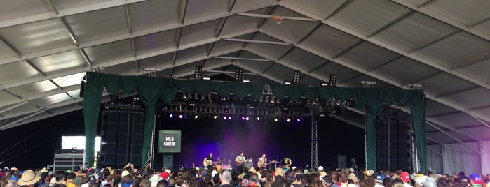 That Tent at Bonnaroo Music & Arts Festival is one of Must-visit Arts & Entertainment in Manchester.