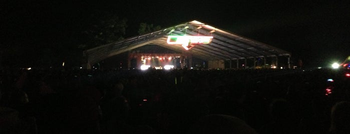 This Tent at Bonnaroo Music & Arts Festival is one of Bonnaroo.