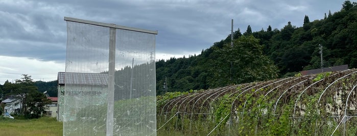 Green Room Project (T392) is one of Tokamachi 2022- Echigo-Tsumari Art Triennale.
