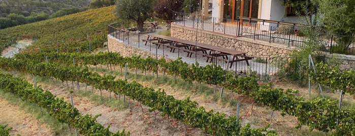 Gillham Vineyard is one of Berkay'ın Kaydettiği Mekanlar.