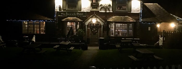 The Beech Tree is one of Best places in High Wycombe, UK.