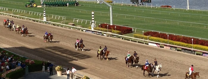 Gulfstream Park Racing and Casino is one of Bienvenido a Miami.