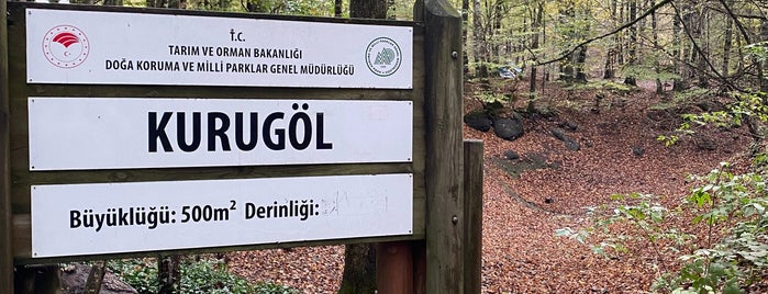 Kurugöl is one of Yedigöller.