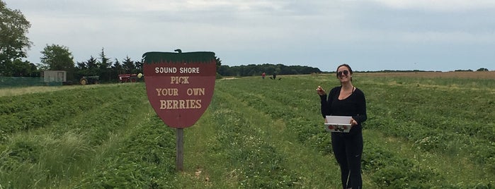 Sound Shore Market & Farms is one of North Fork 2018.