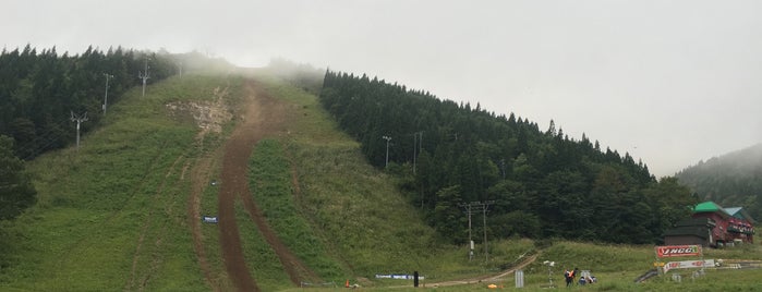 栗子国際スキー場 is one of スキー場.