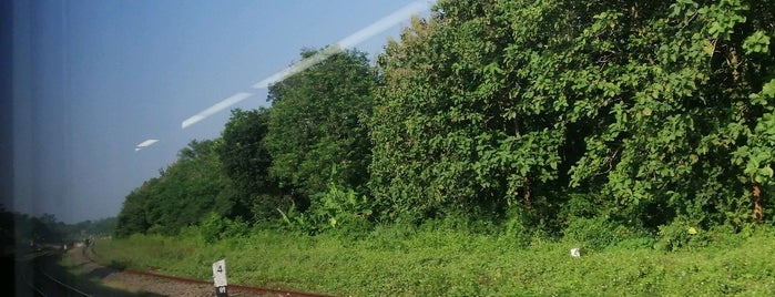 Stasiun Cibungur is one of Train Station in Java.