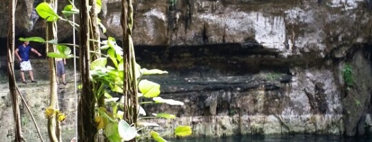 Cenote Maya is one of Gespeicherte Orte von Catarina.