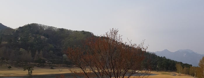 가평베네스트 CC is one of สถานที่ที่ EunKyu ถูกใจ.