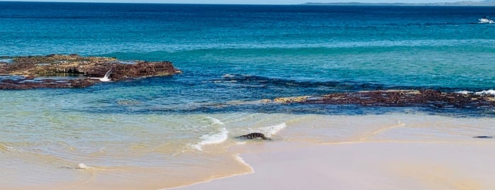 Port Kembla Beach is one of Stevenson's Favorite World Beaches.