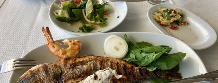 Sahil Restaurant is one of Izmir.