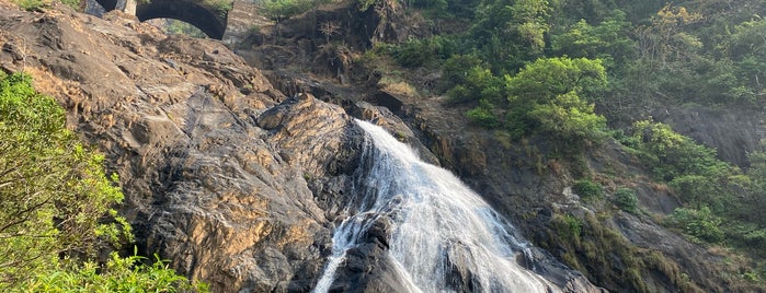 Dudhsagar Waterfall is one of Royal Goa Trip.