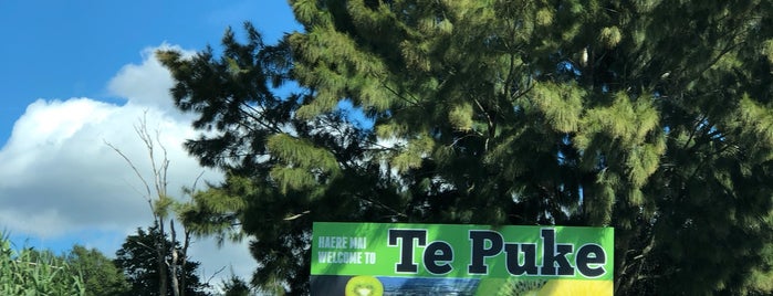 Te Puke is one of Orte, die Federico gefallen.