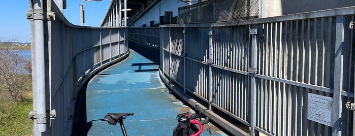 利根川橋 is one of 渡った橋（東日本）.