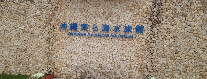 Okinawa Churaumi Aquarium is one of Japan.