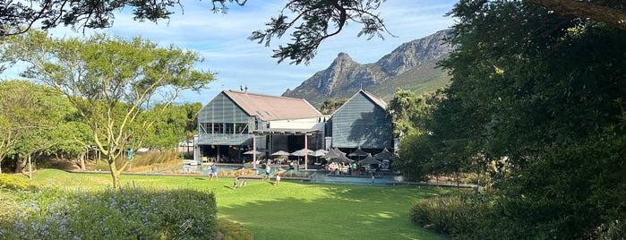 Steenberg Vineyards is one of Cape Town must see.