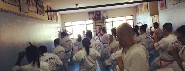 Karate Kyokushin Penha is one of Academia.