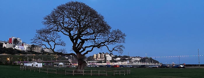 Torquay is one of Areas of Devon.