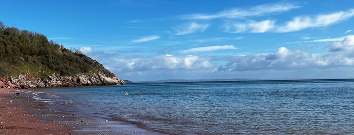 Oddicombe Beach is one of Guide to Torbay's best spots.