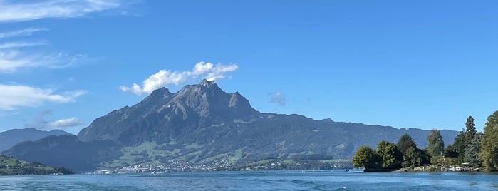 Hafen Weggis is one of Lucerne.