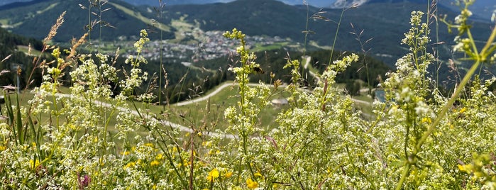 Rosshütte Seefeld is one of Природа.