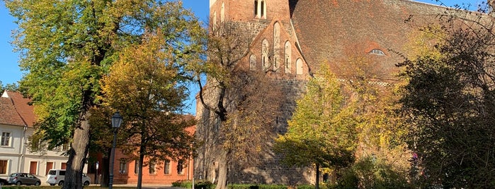 St. Gotthardtkirche is one of Lieux qui ont plu à Mahmut Enes.