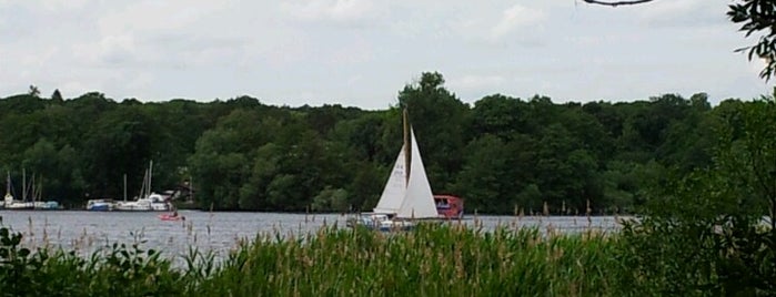 Havel is one of Grünes Berlin.