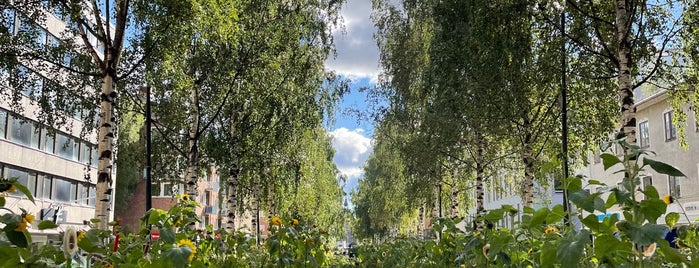 Umeå is one of Europe 2014.