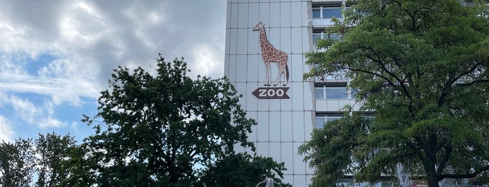 H S+U Zoologischer Garten is one of Berlin To Do's.