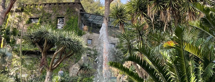 Giardini La Mortella is one of Neapol, Ischia.