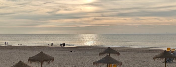 Havana aan Zee is one of Beach.