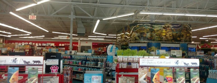 Petco is one of Stores.