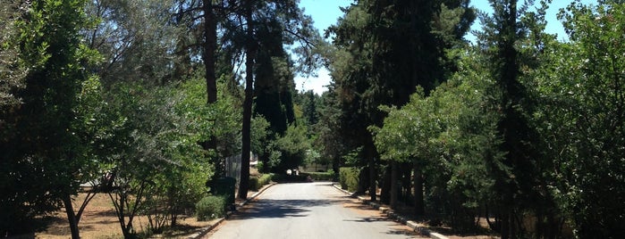 Anatolia College is one of thessaloniki.