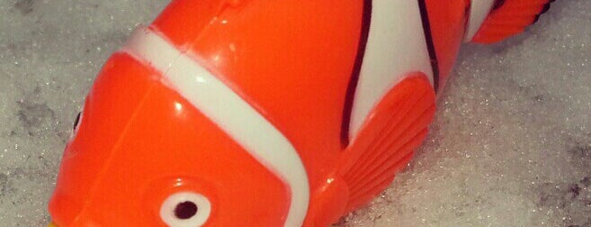 Winter Storm Apocalypse: Nemo is one of friends @ me only.