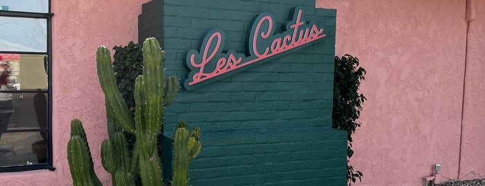 Les Cactus is one of Palm Springs with Cyn.