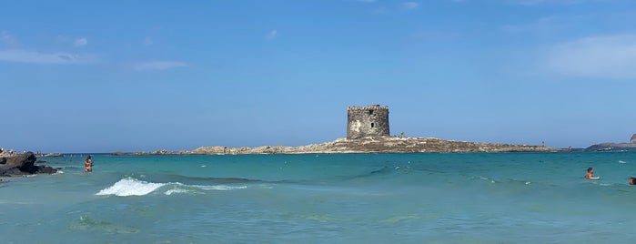 La Pelosa is one of La Sardegna 🇮🇹.