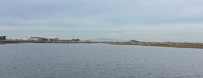 Bolsa Chica Ecological Reserve is one of Guide to Huntington Beach's best spots.