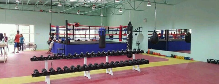 Elorde Boxing Gym @ Pegasus is one of Gīn : понравившиеся места.