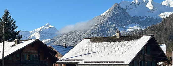 Hotel Gstaaderhof is one of Zwitserland.
