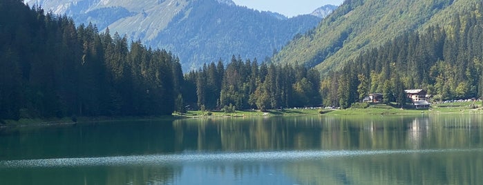 Lac de Montriond is one of Locais curtidos por Helen.