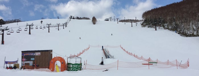 一の瀬ダイヤモンドスキー場 is one of スキー場.