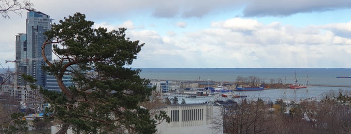 Kamienna Góra is one of Gdynia.