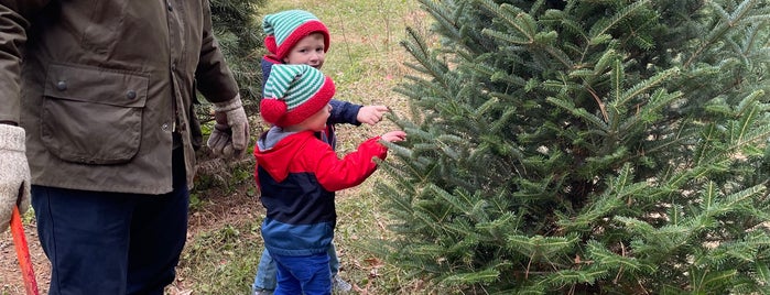 Varners Tree Farm is one of Locais curtidos por Mark.