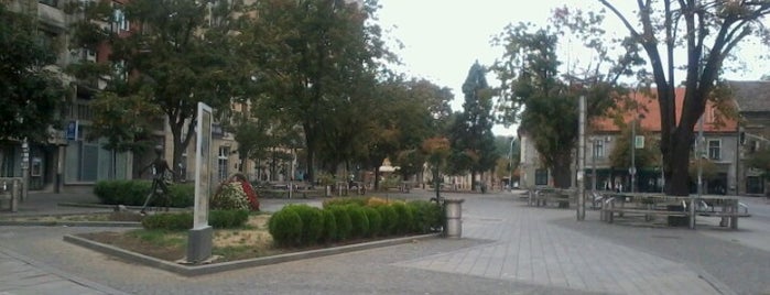 Trg dr Zorana Đinđića is one of Parks and city squares in Belgrade.