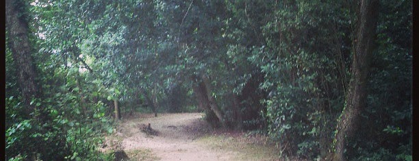 Ruta Dos Muiños is one of Posti che sono piaciuti a Marcos.